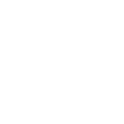Arize Phoenix logo